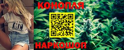 тгк Пугачёв