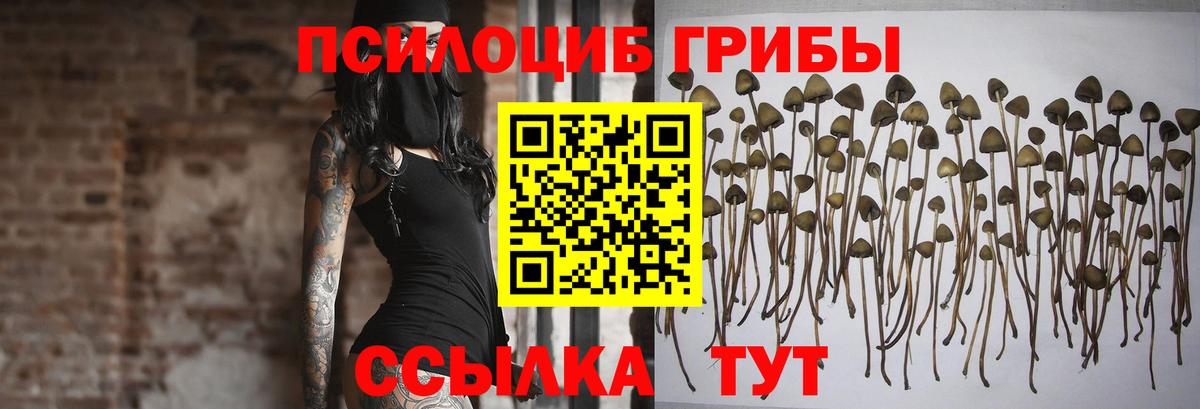 Соликамск  Псилоцибиновые грибы прущие грибы  Вход с VPN 